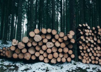 firewood box for sale