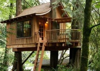 Steps to Building a Great Tree House