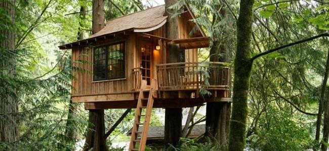 DIY Tips: Steps to Building a Great Tree House | Teecycle