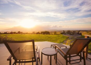 Buy Lounge & Dining room Chairs from the Best Furniture Store