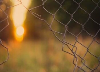 Effective and Proven Ways to Guard Your Home Against Looters and Burglars