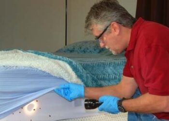 Bed Bug Exterminator