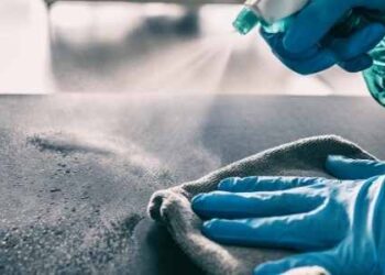 Home Sanitization Services