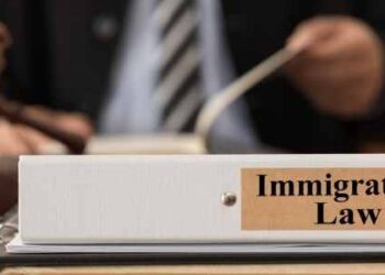 Immigration Lawyer