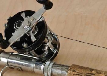 Baitcasting Reel for Beginners