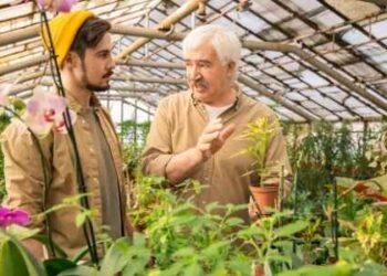 How To Transport Flowers