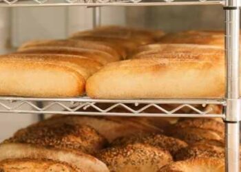 Venturing in Wholesale Bakery