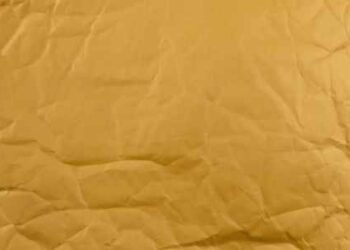 How Mailer Boxes are Modernizing the Business World