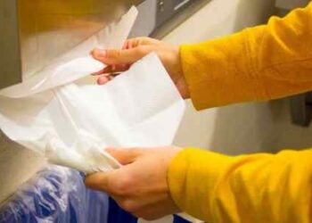 Bamboo Paper Towels That Are Better for the Environment