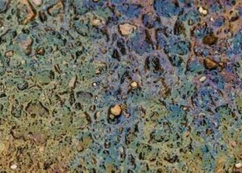 How To Clean Up Oil Spills Almost Without Leaving a Trace