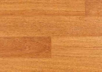 Find Out Everything About Janka