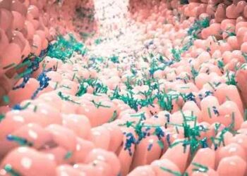 Gut Microbiome Testing and How It Can Help You