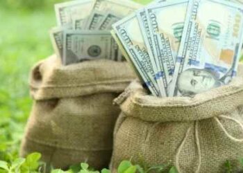 Turn Green Grass Into Green Cash