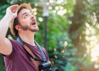 Ways You Can Make Your Yard More Environmentally-Friendly