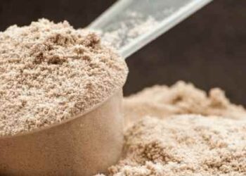 What Kind of Protein Powder is Best for You