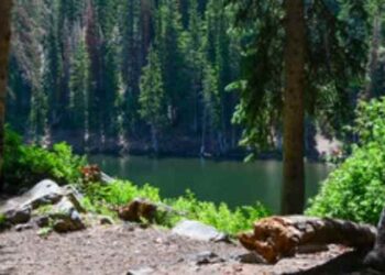 Best Camping in the SouthEast