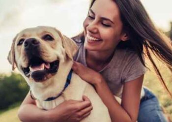What a First-Time Dog Owner Should Know