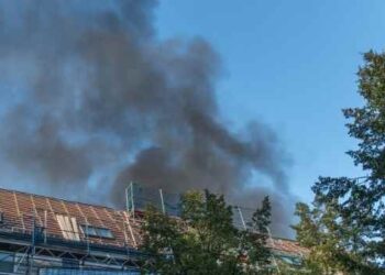 How to Handle Water, Mold, Fire, and Smoke Remediation