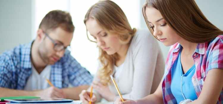USA Based Essay Writing Services
