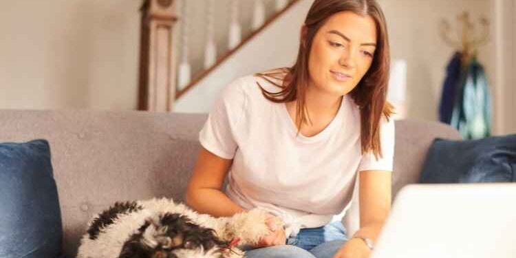 How Pet Insurance is Changing Your Pets Lives