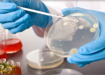 Limitations That Comes With Microbiological Testing