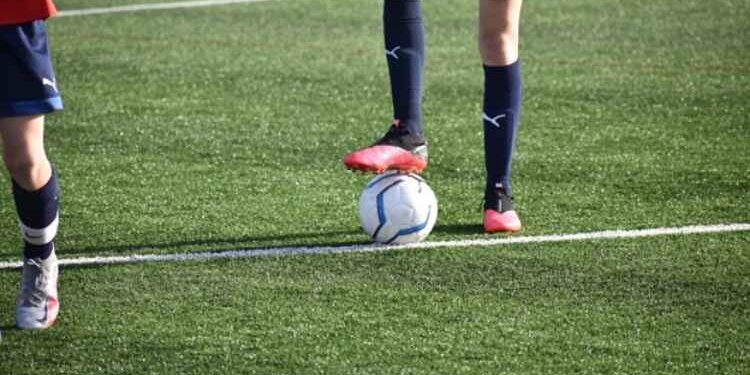 How Sports Industry Adopted Veganism
