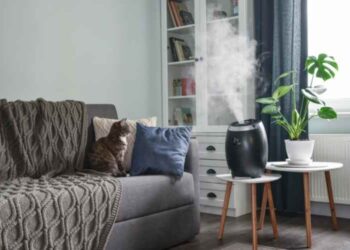 How to Find the Best Humidifier for Your Specific Needs