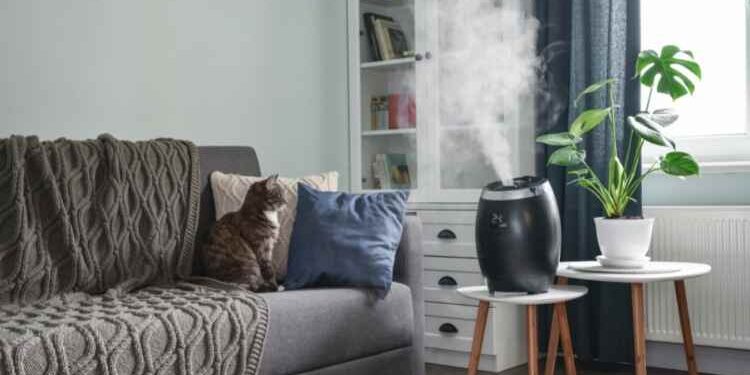 How to Find the Best Humidifier for Your Specific Needs