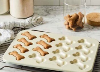 How to Efficiently Launch and Advertise Your New Dog Treat in the Market