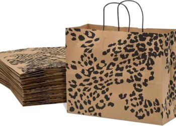 5 Convincing Reasons to Choose Paper Shopping Bags for Your Outlet
