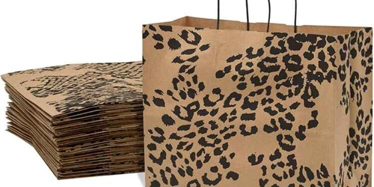 5 Convincing Reasons to Choose Paper Shopping Bags for Your Outlet