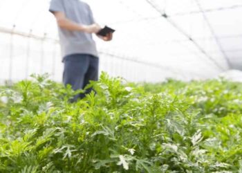 Tech and Agribusiness