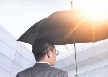 The Insurance Cover Your Company Needs