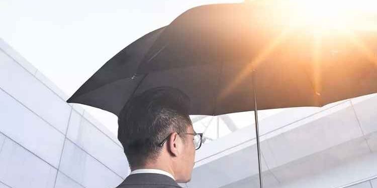 The Insurance Cover Your Company Needs