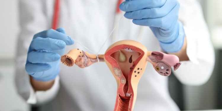 Tubal Reversal
