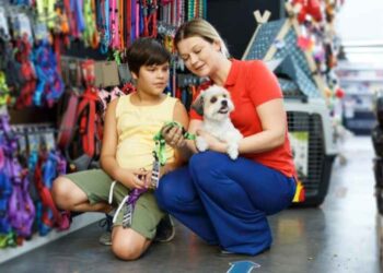 Where to buy dog supplies