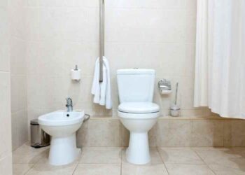 3 Reasons to Start Using a Bidet