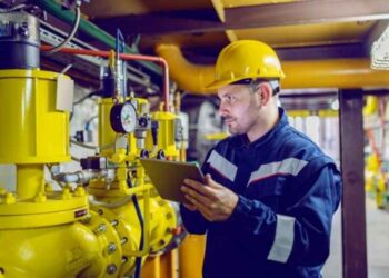 Final Visual Inspector Roles and Responsibilities