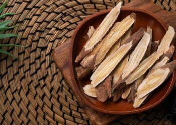 Health Benefits Of Astragalus Root