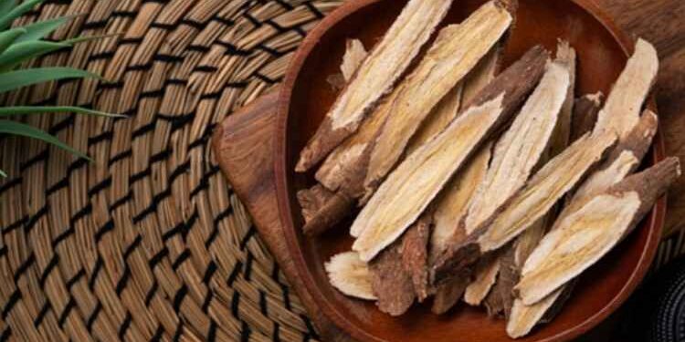 Health Benefits Of Astragalus Root