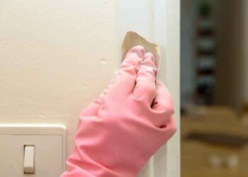 Can You Remove Lead Paint By Yourself