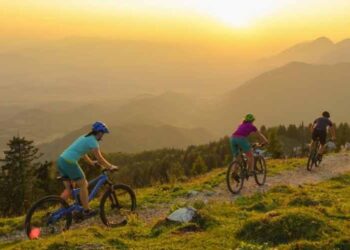 Common Emotional Struggles for First-Year College Students