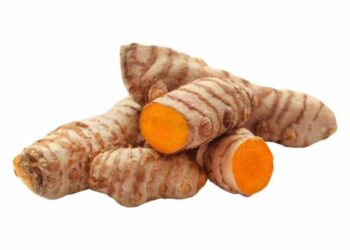 In New Zealand, How Do You Cultivate Turmeric