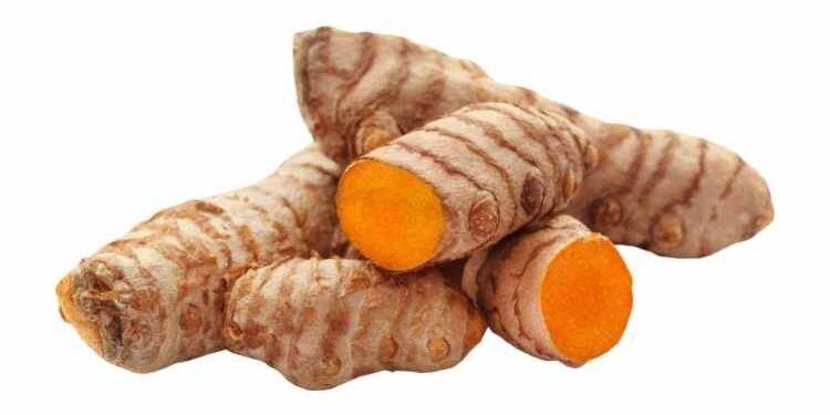 In New Zealand, How Do You Cultivate Turmeric