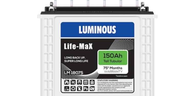 5 Factors You Should Consider Before Choosing Between a Flat Plate and a Tall Tubular Battery
