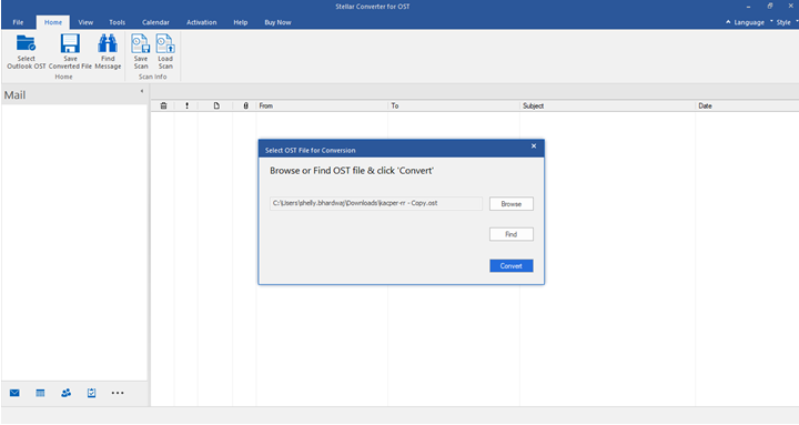 Locate the OST file on your PC by clicking the Browse option. Click the Find button if you don't know where you are. Then, to begin the file conversion process, click Convert.
