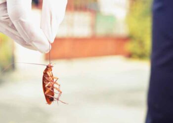 5 Reasons To Get A Bug Out Bag