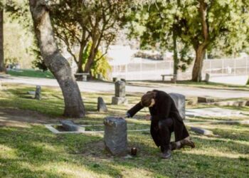 What Can Be Classified as Wrongful Death in Fort Lauderdale