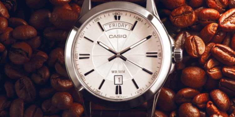 Casio Watch