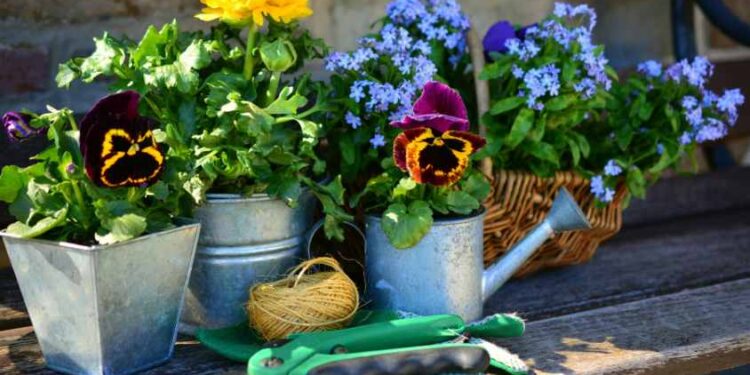 Garden Planters